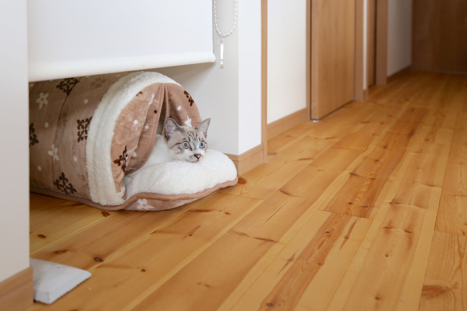 愛猫も大満足♪家の中も外も快適そのもの新生活!【Y様】