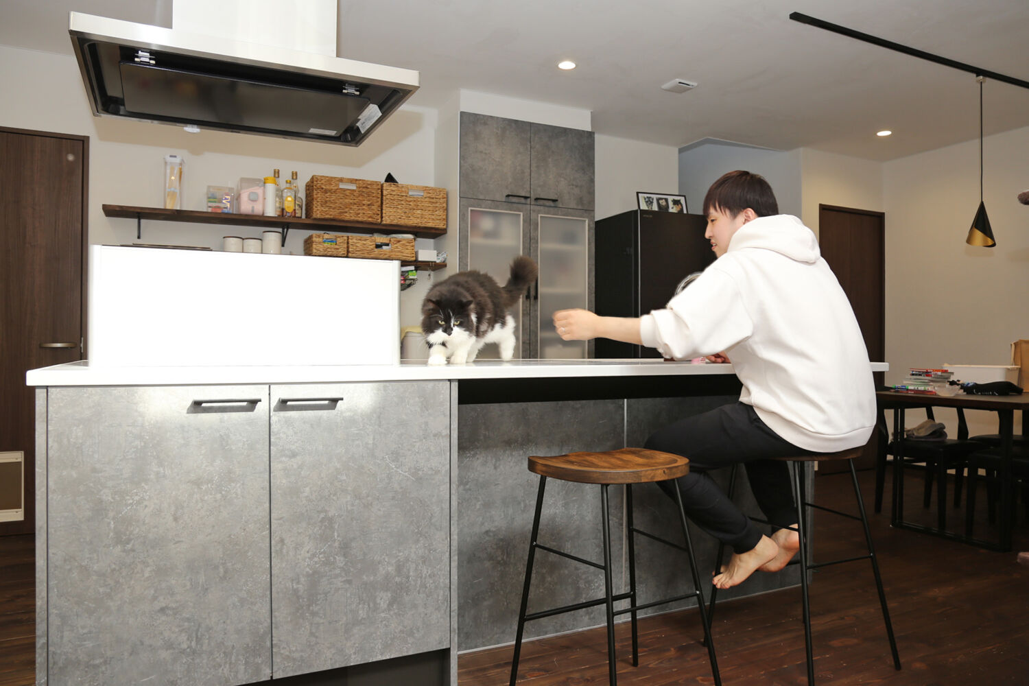 人にも猫にもやさしい、気持ちのよい家です。【I様】