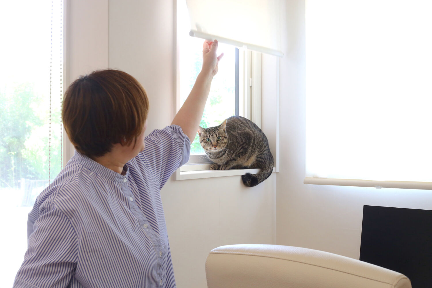 「猫」優先の家づくりだからこそ、空調設備と自然素材にこだわりました。【K様】