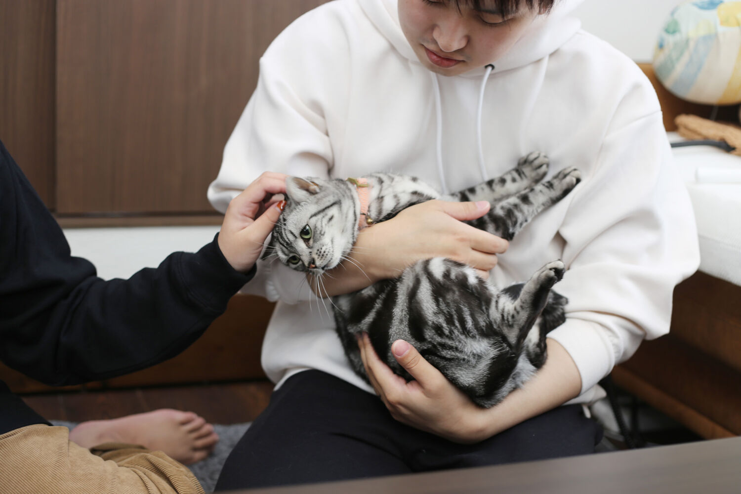 人にも猫にもやさしい、気持ちのよい家です。【I様】