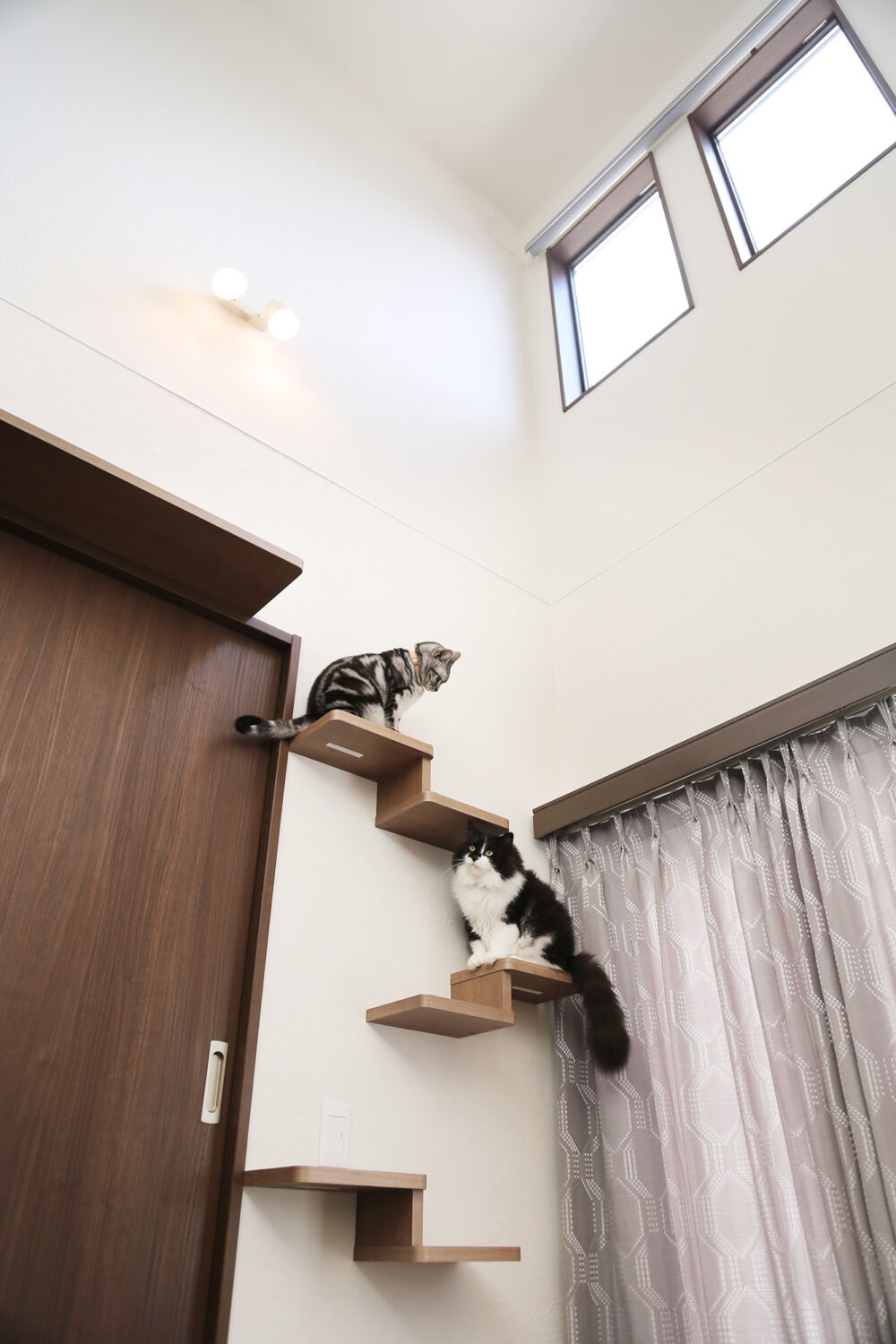 人にも猫にもやさしい、気持ちのよい家です。【I様】