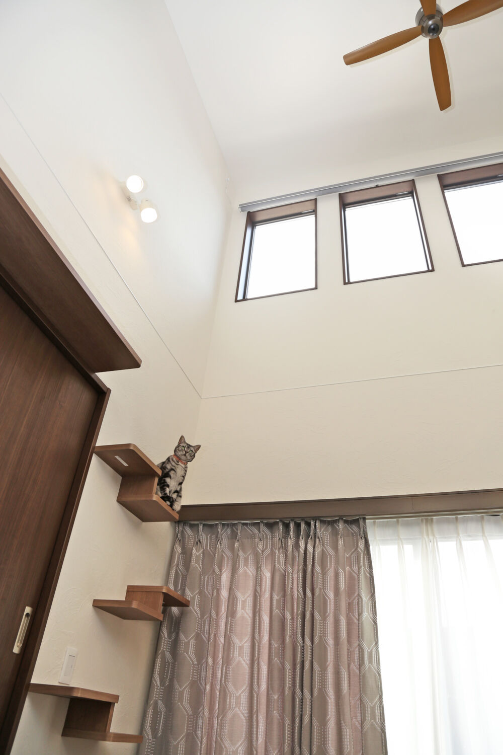 人にも猫にもやさしい、気持ちのよい家です。【I様】