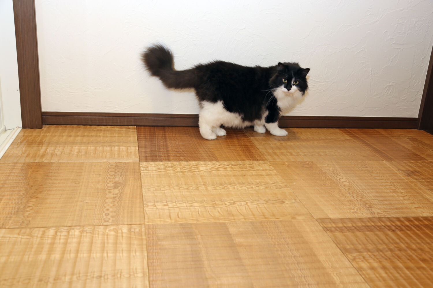 人にも猫にもやさしい、気持ちのよい家です。【I様】