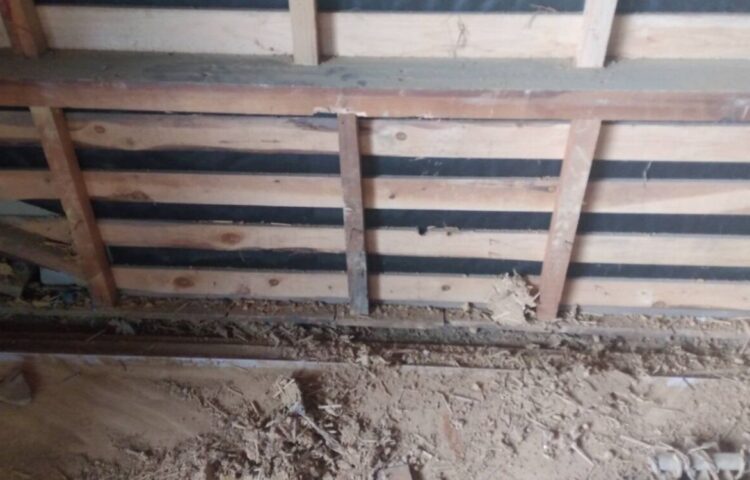 初めまして、山﨑です!!