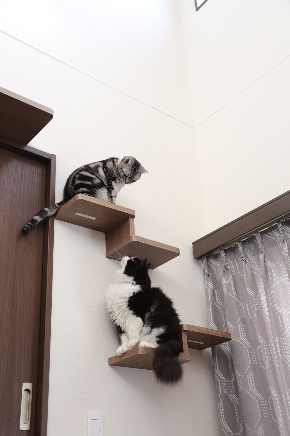 人にも猫にもやさしい、気持ちのよい家です。【I様】