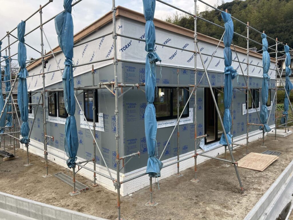 おめでとうございます🐯✨