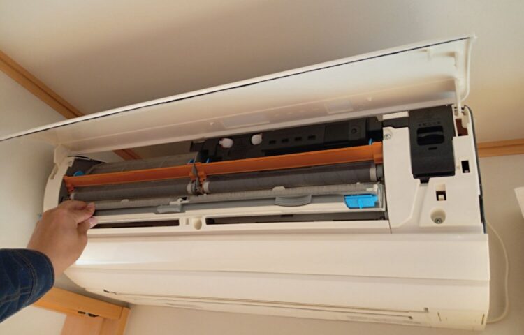 🌸春がきた☀☀☀