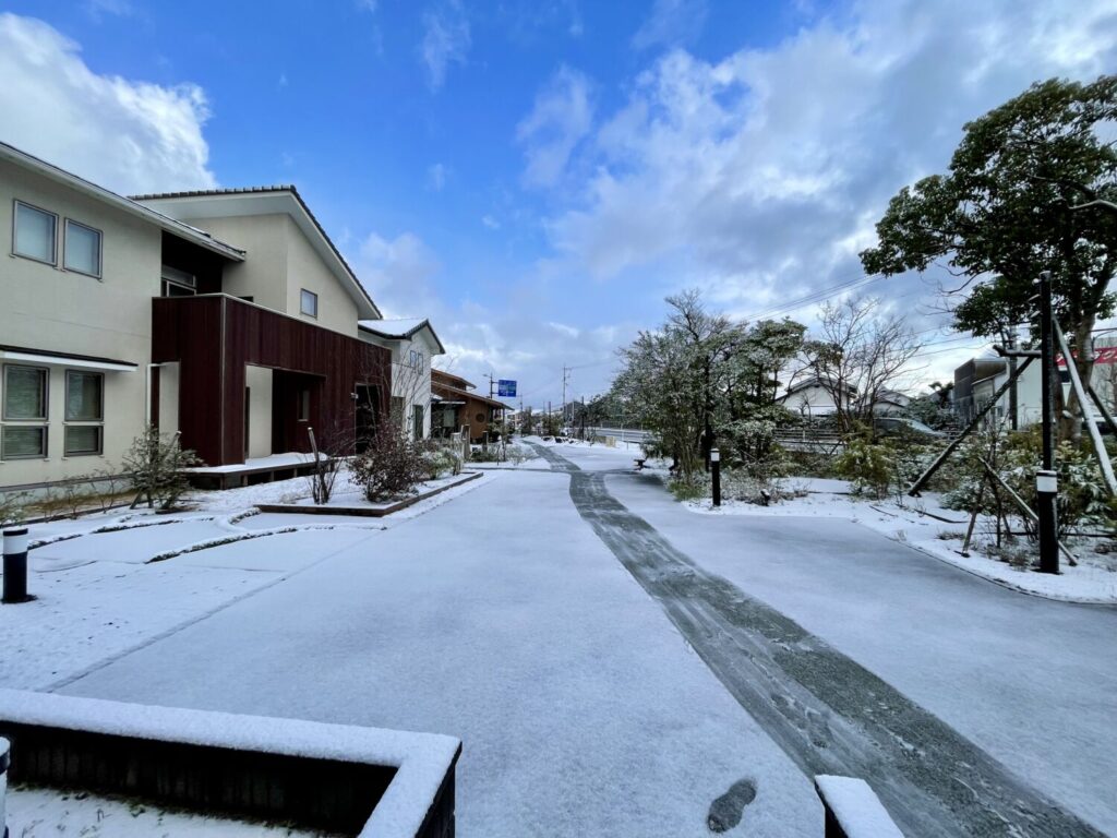雪掻きのおかげ？しかし…