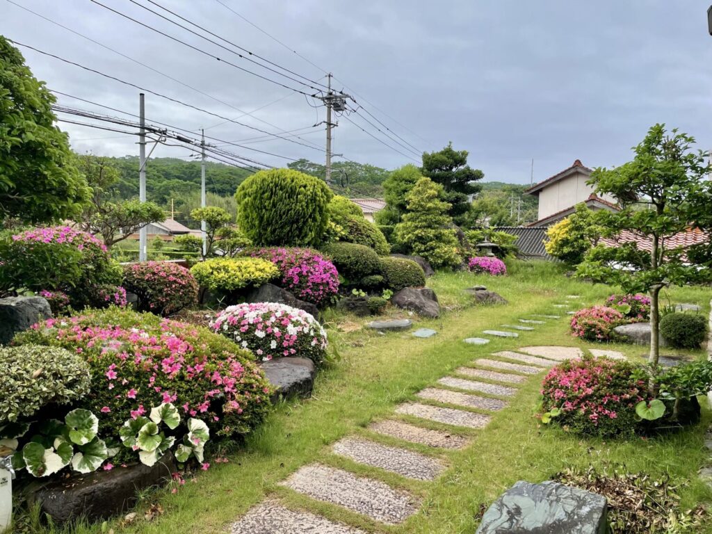 当たり年の源平咲き？