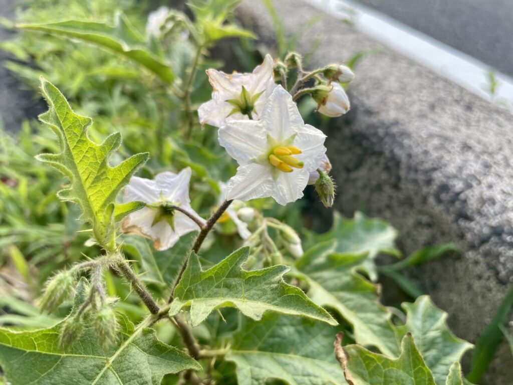 意外や！要注意でした！