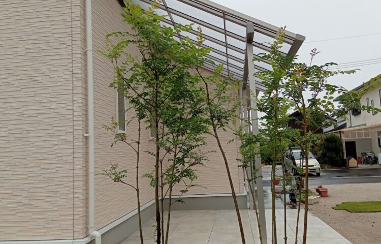 癒しのテラス♪