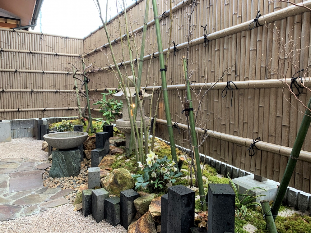 クリスマスローズ