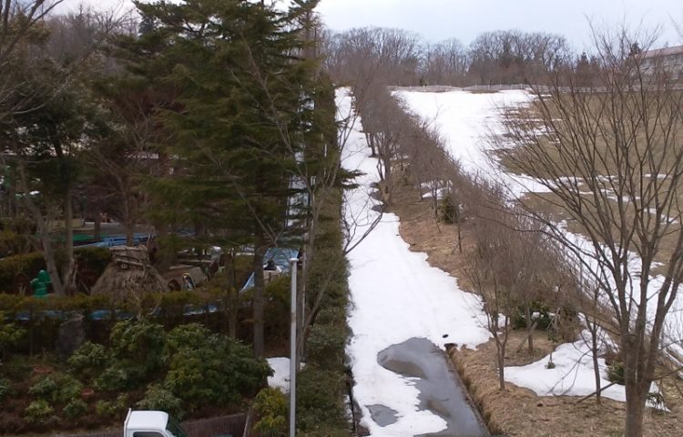 ここで会えるとは！！