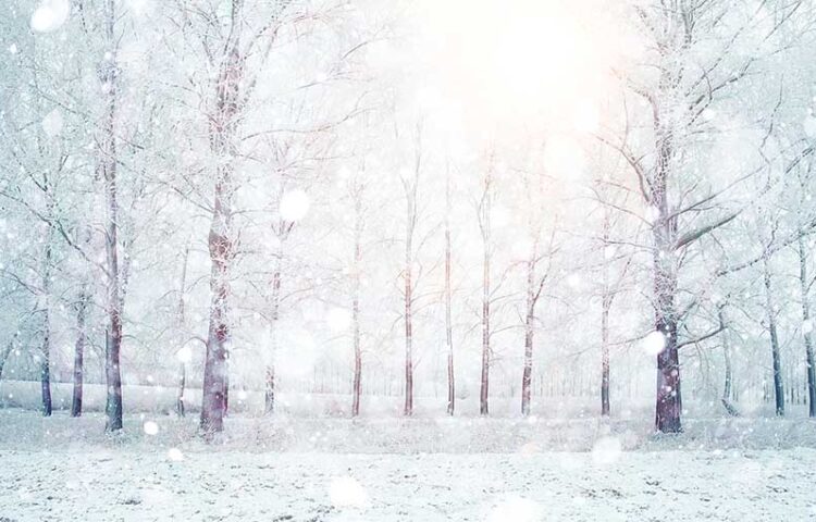 エコキュートの凍結防止について